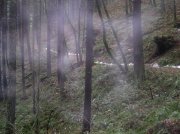 12.23.05 Elowah Falls 012 